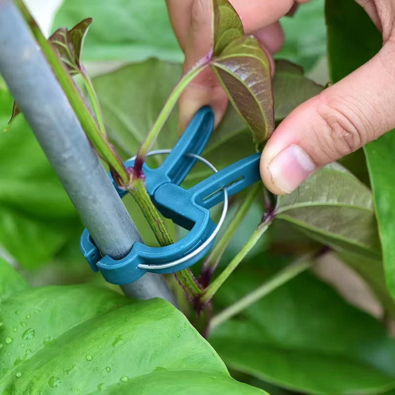 20/40/60pcs Heavy-Duty Adjustable Plant Clips – Reusable, Sturdy Support for Tomatoes, Vines, Flowers & Vegetables – Indoor & Outdoor Plant Training, Multi-Size, Green & Black
