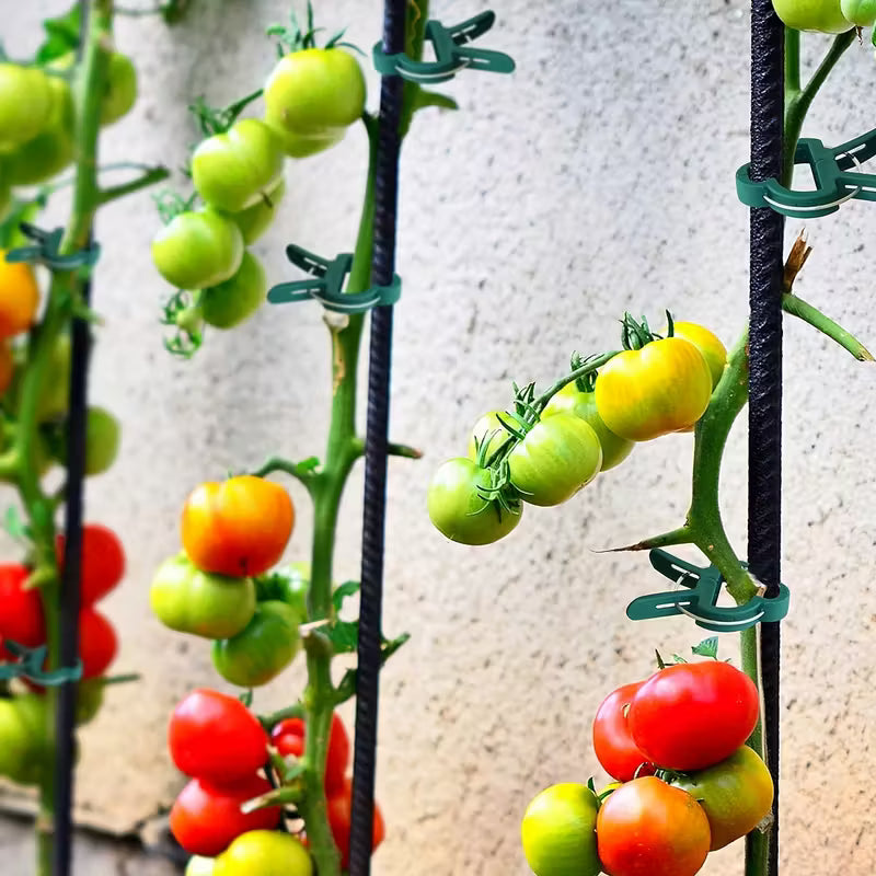 20/40/60pcs Heavy-Duty Adjustable Plant Clips – Reusable, Sturdy Support for Tomatoes, Vines, Flowers & Vegetables – Indoor & Outdoor Plant Training, Multi-Size, Green & Black